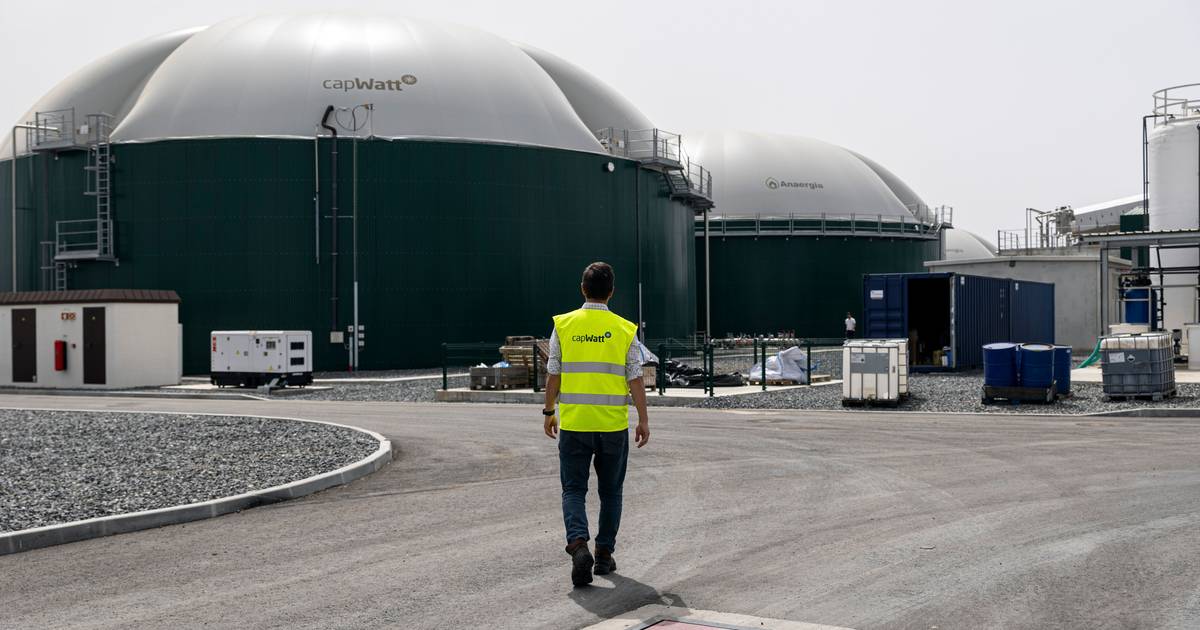 "Bactérias felizes" para descarbonizar sector do gás: Aljustrel já produz 10 toneladas de biometano por dia