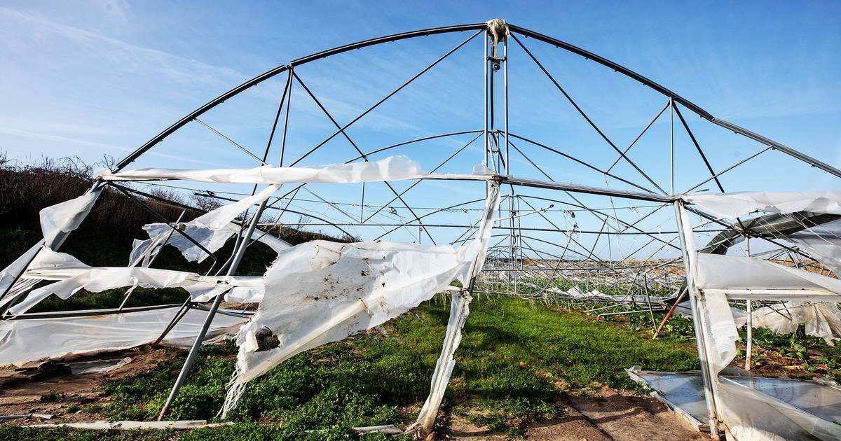 €20 million tender opened for agricultural modernisation projects following storms