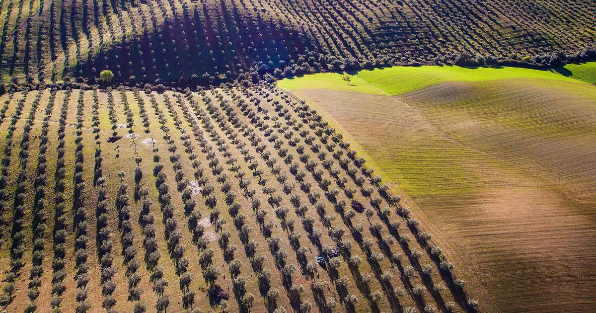 Building on rural land? Law continues to raise doubts for owners