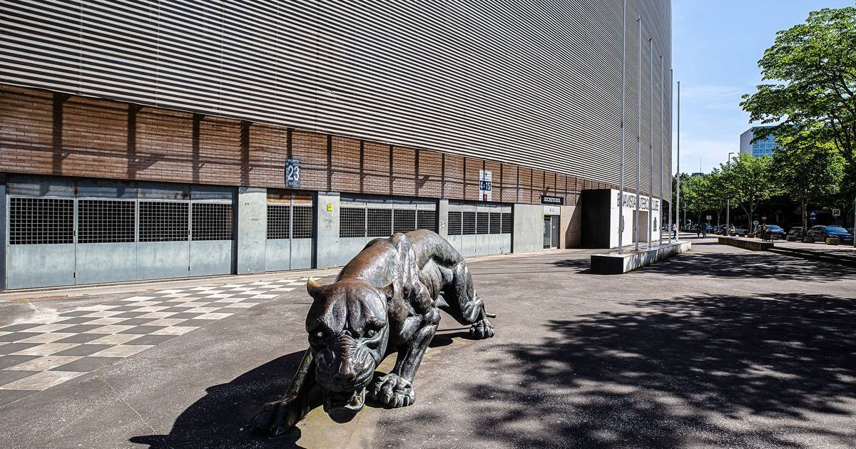 Boavista FC assets are for sale for €39 million and include land where 130 apartments could be built