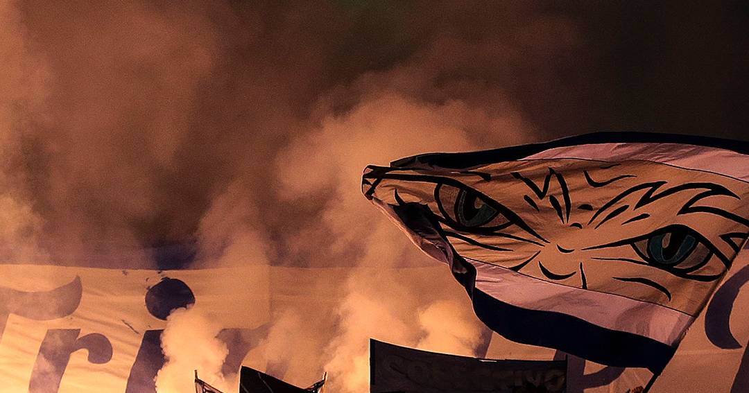 A apoteótica receção ao autocarro do FC Porto antes do jogo do título