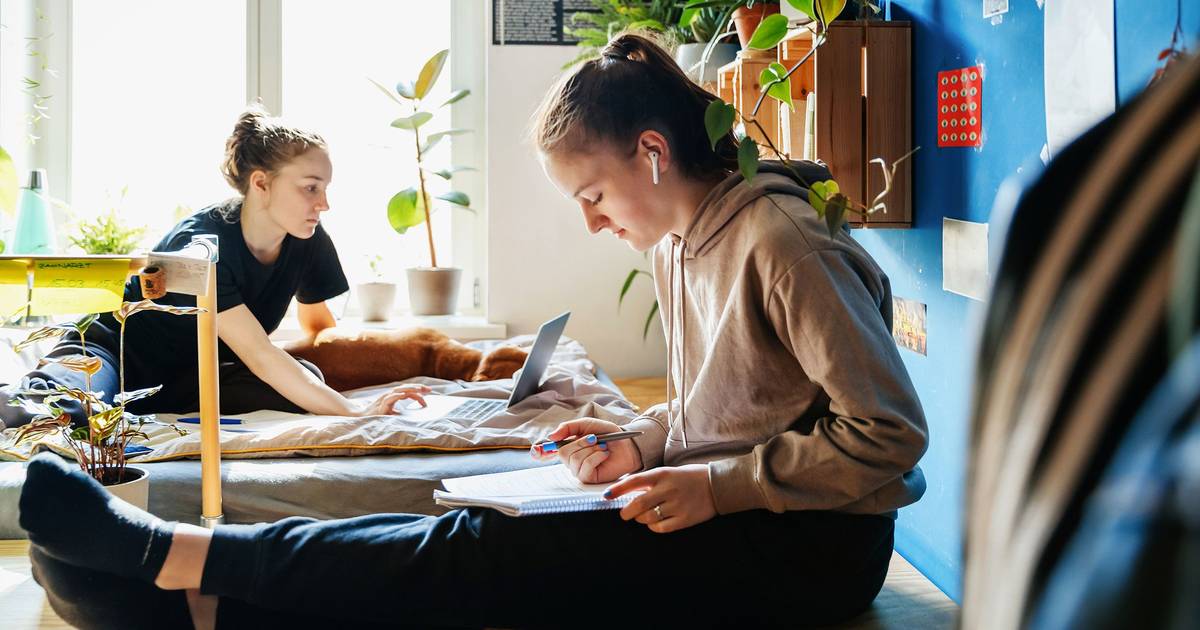 Investimento em residências para estudantes ultrapassa mil milhões de euros em seis anos