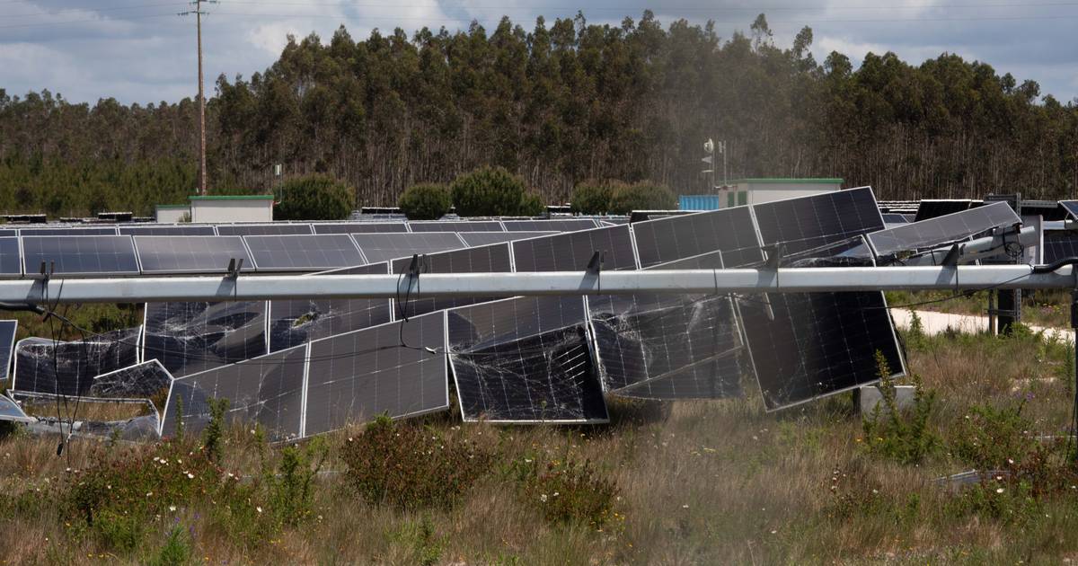 E-Redes estima em 110 milhões de euros o custo para reparar rede elétrica afetada pela depressão Kristin