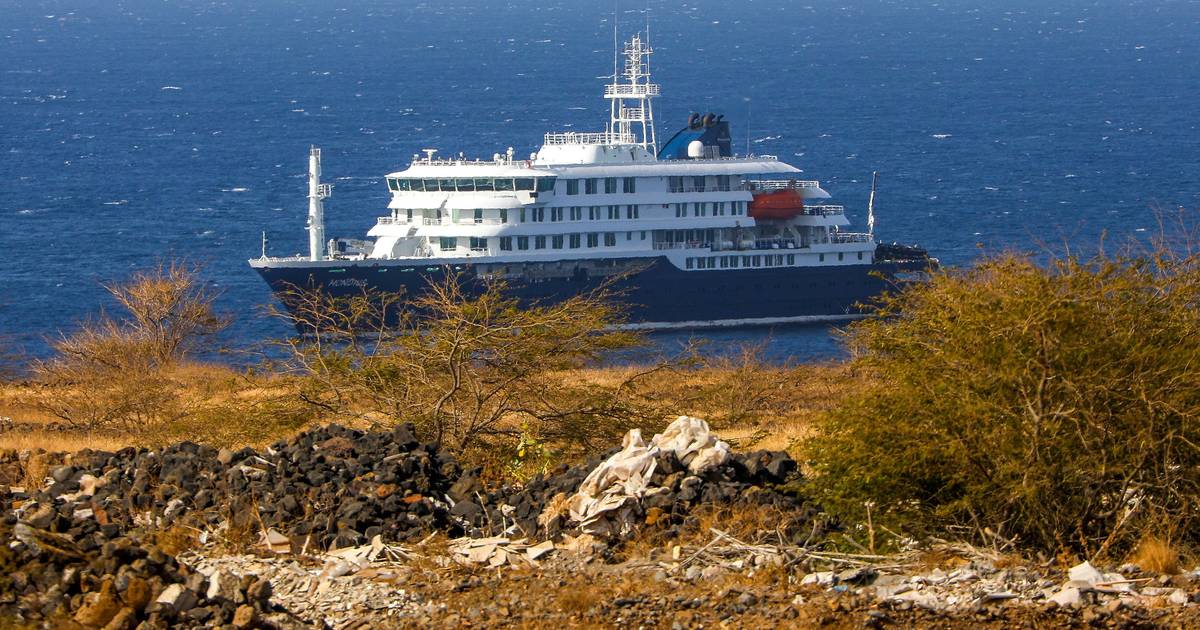 Subiu para sete o número de casos de hantavírus em navio cruzeiro