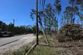 Foram limpos mais de 3000 km de caminhos