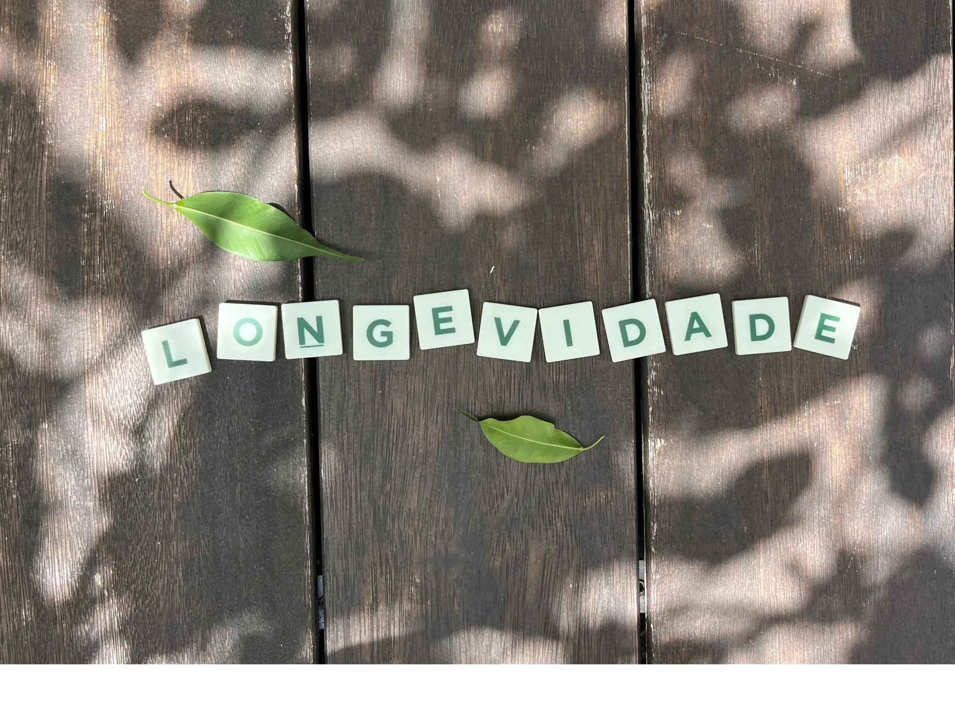 O novo dicionário da longevidade