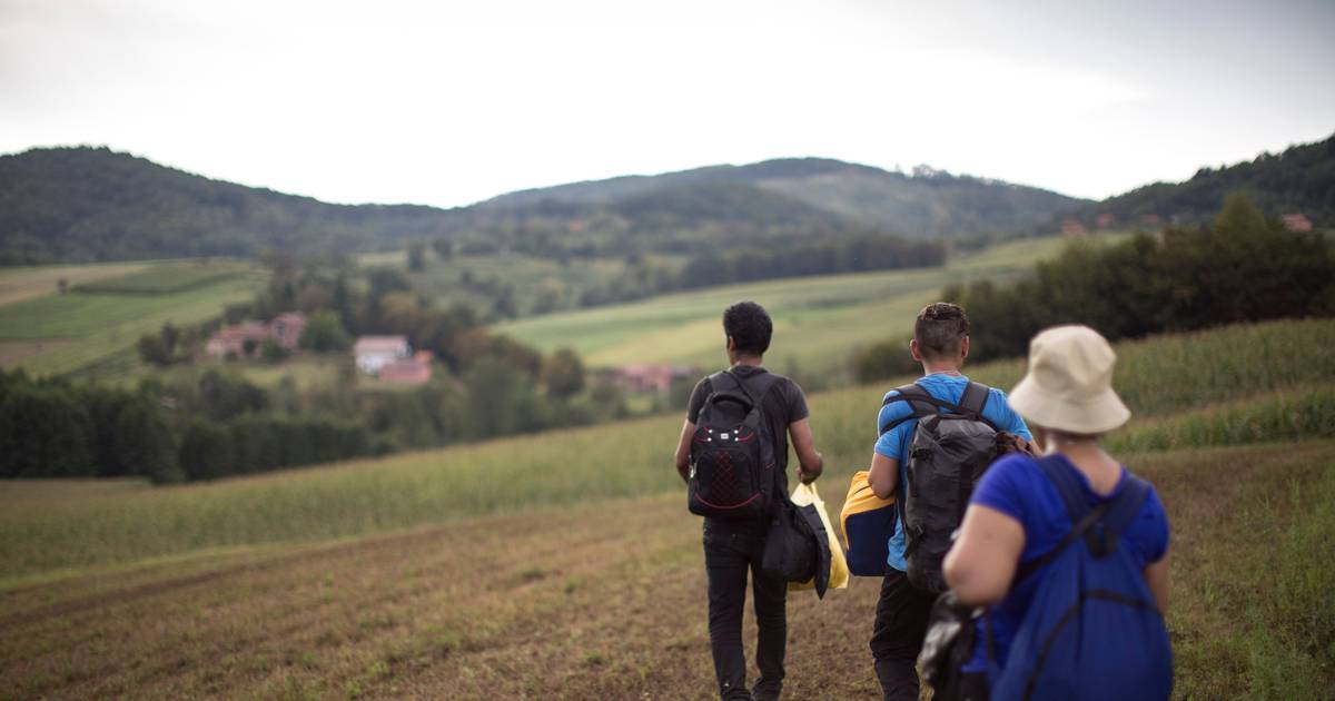 Verdis, o ‘país’ de 0,5 km² no Danúbio que quer ser a Suíça dos Balcãs e explora uma disputa na fronteira servo-croata