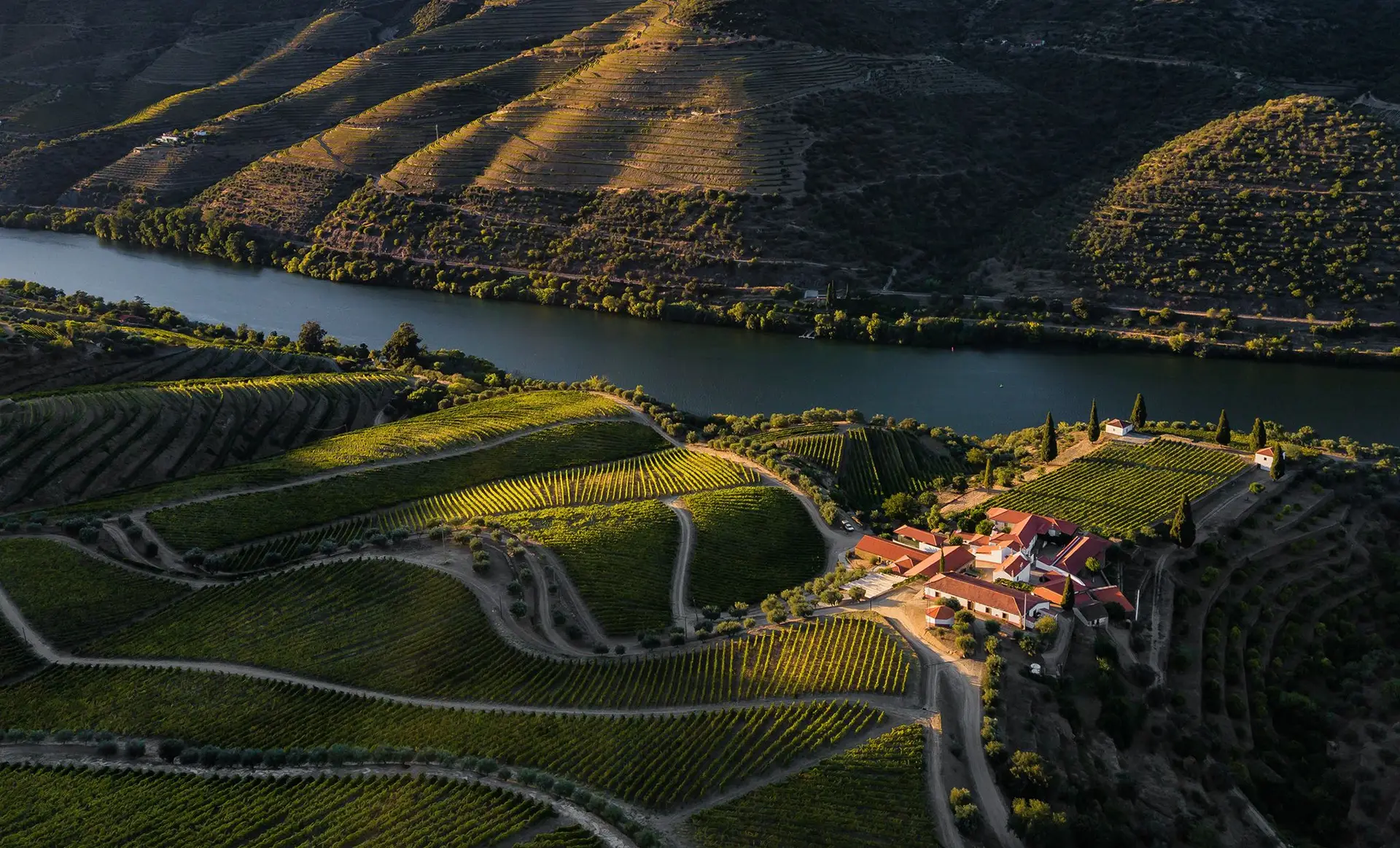 Concurso Vinhos de Portugal: revelados os grandes vencedores, “Melhor do Ano” é um tinto do Douro