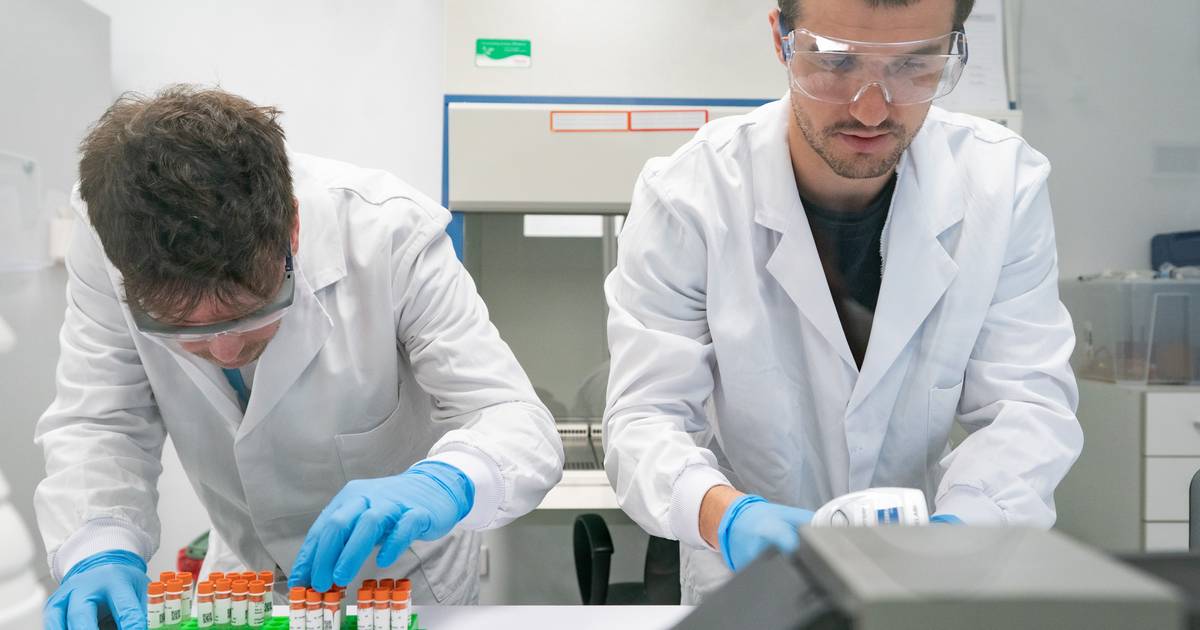 Nesta fábrica criam-se vírus que podem salvar pessoas