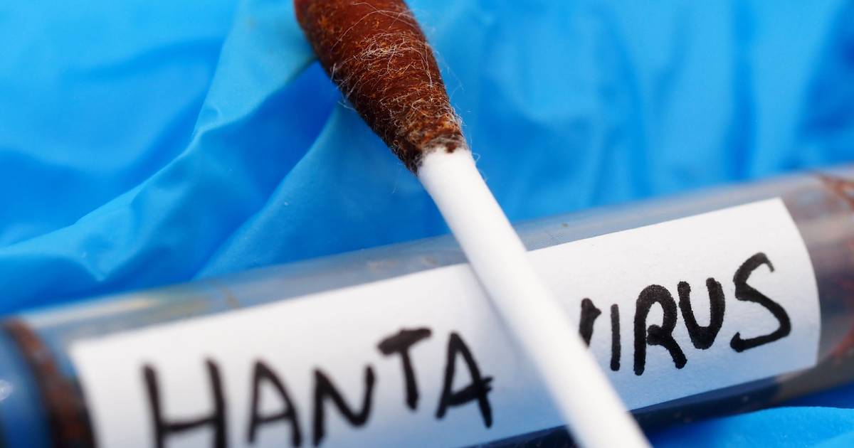 França confirma novo caso de hantavírus transmissível entre humanos e reforça medidas de vigilância