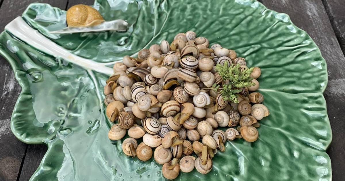 Rota do Caracol Saloio: omelete, patanisca, à Bulhão Pato ou à Brás?