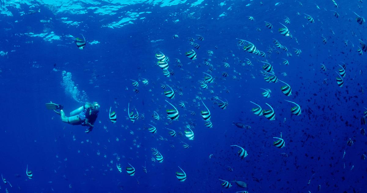 Temperatura dos oceanos bate recorde e Europa ocidental vive período mais quente de sempre