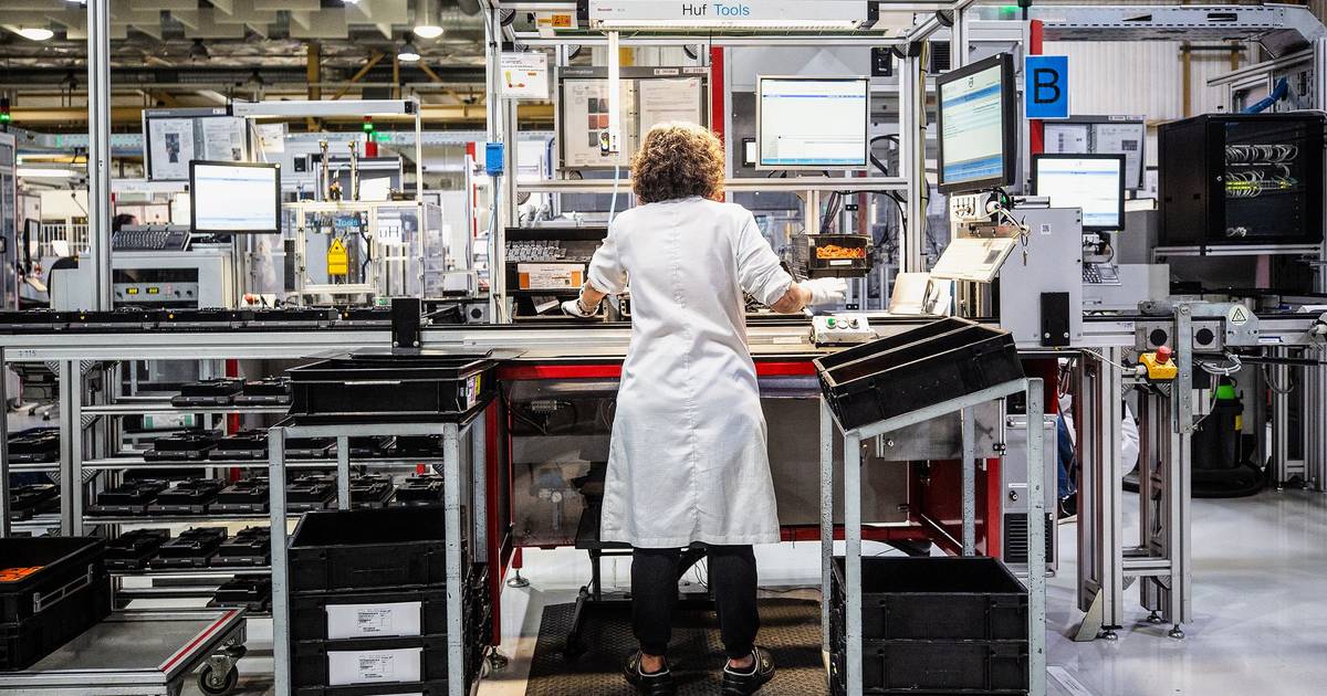 Região de Viseu exporta 43% do que produz