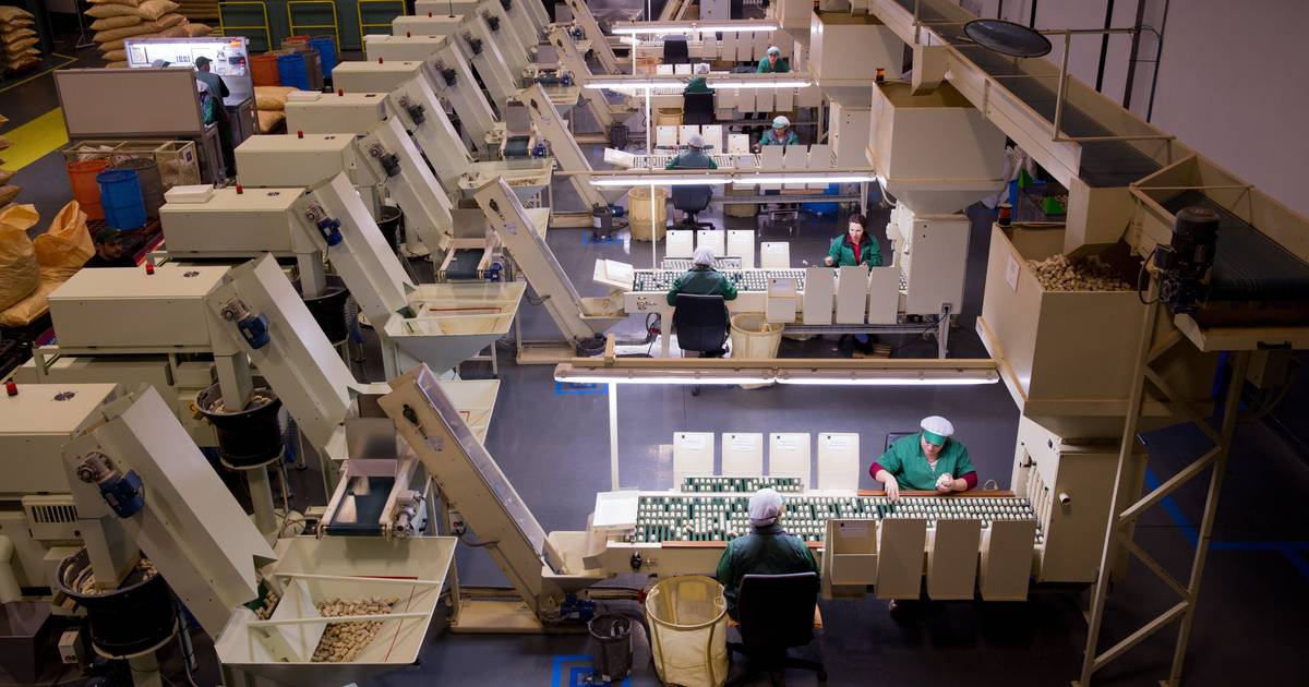 O que o Governo muda no Código do Trabalho?