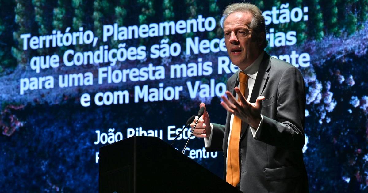 “O negócio da floresta tem de ser mais importante do que o negócio do fogo”