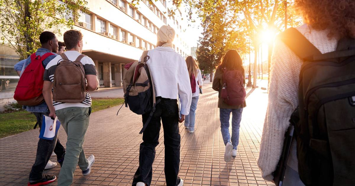 Portugal regista 9% de jovens 'Nem-Nem' em 2025, abaixo da média europeia