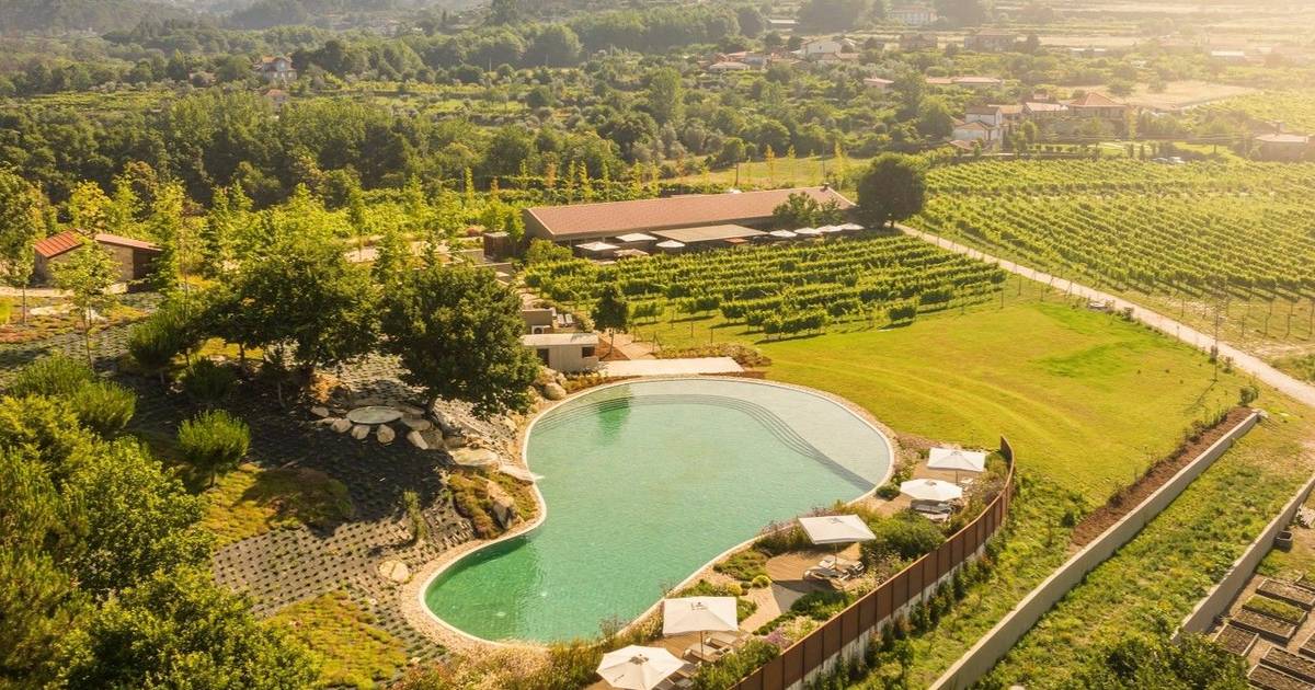 Sabores regionais, vinhos verdes e novidades surpreendentes para descobrir em Baião