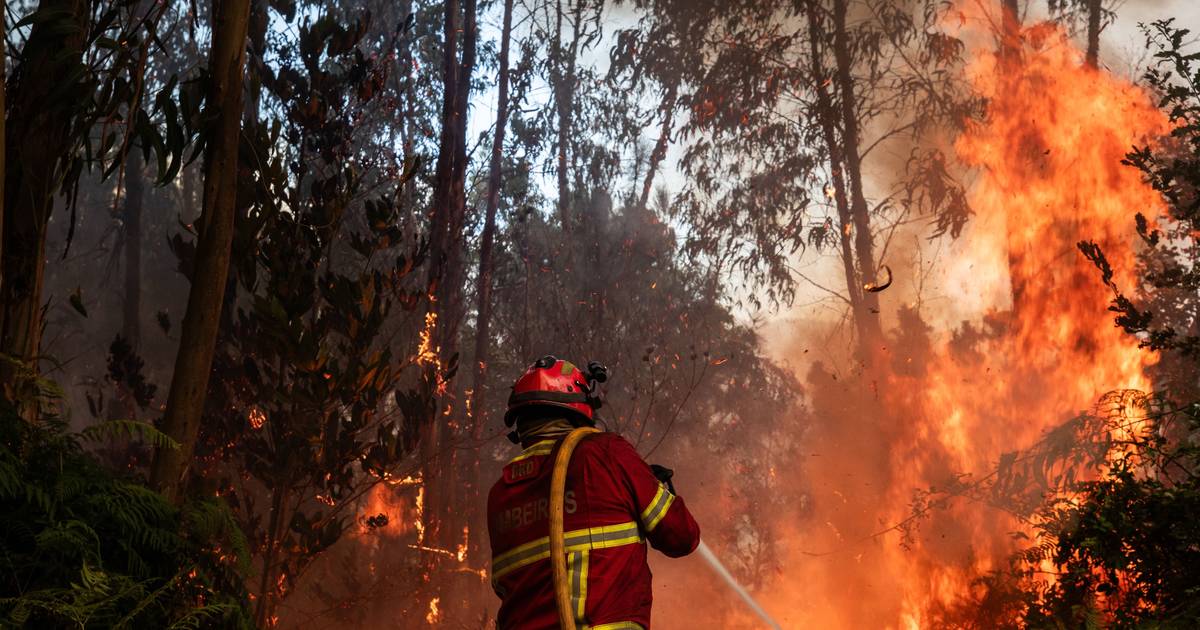 Temperaturas altas elevam risco de incêndio