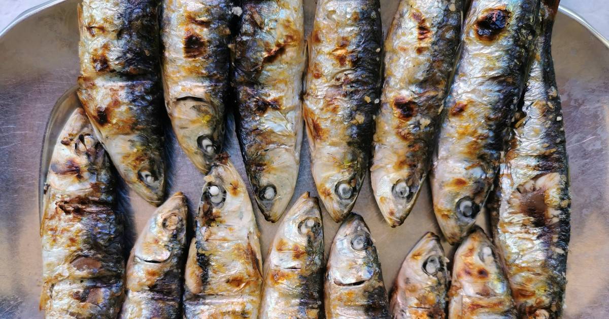 Começou a época: em Lisboa cheira bem, cheira a sardinha assada