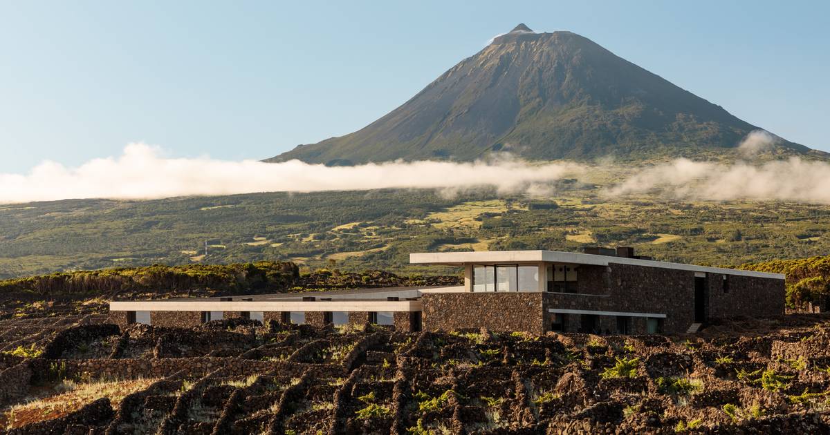 Entre vinhos vulcânicos, o “Melhor enoturismo de Portugal” é um tributo aos Açores