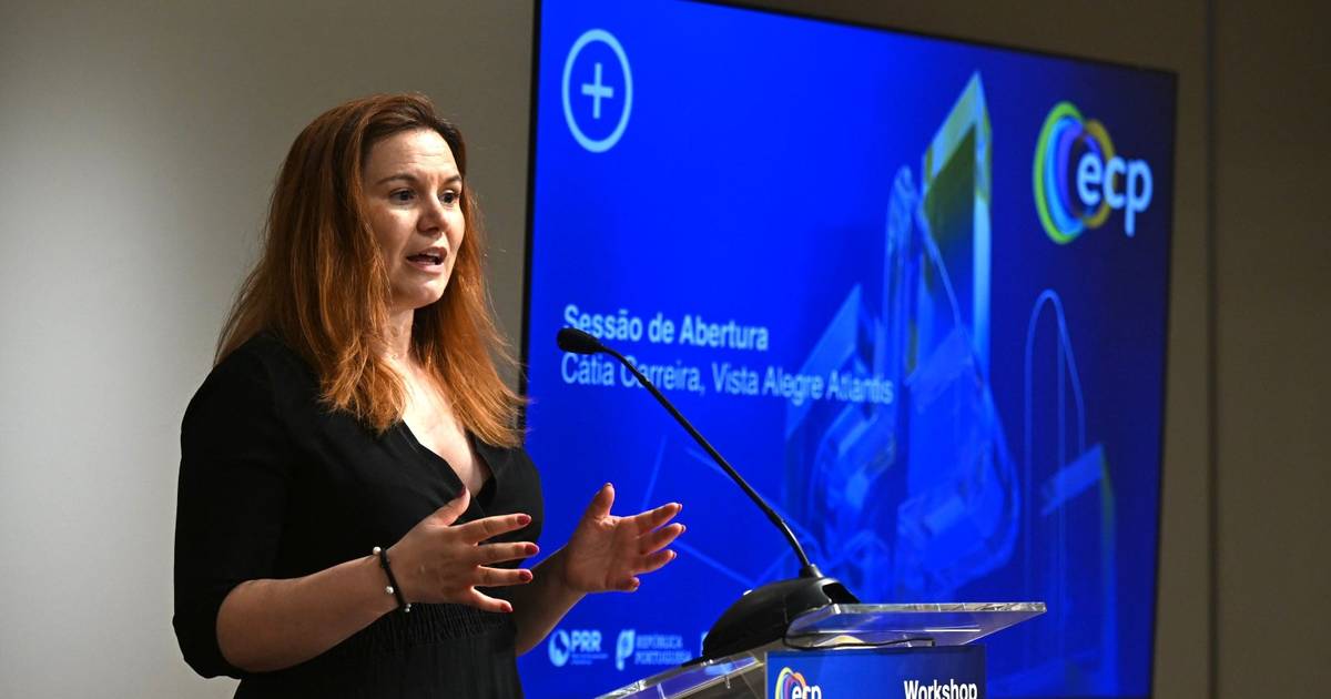 Workshop Vista Alegre APICER