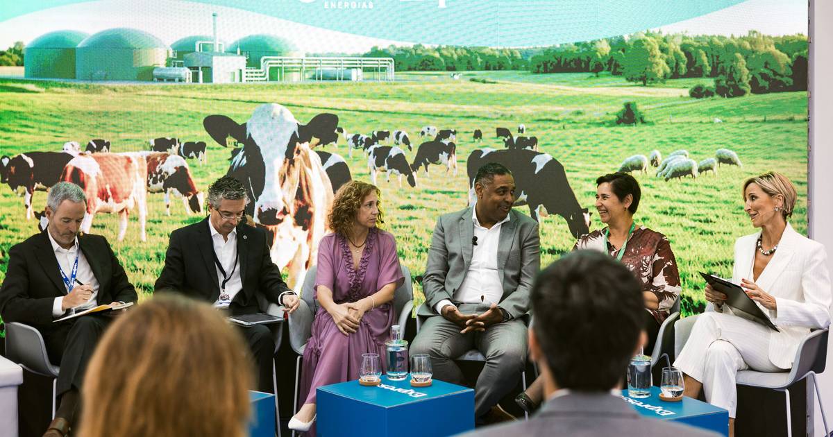 Infraestrutura nacional de gás está pronta a receber o biome
