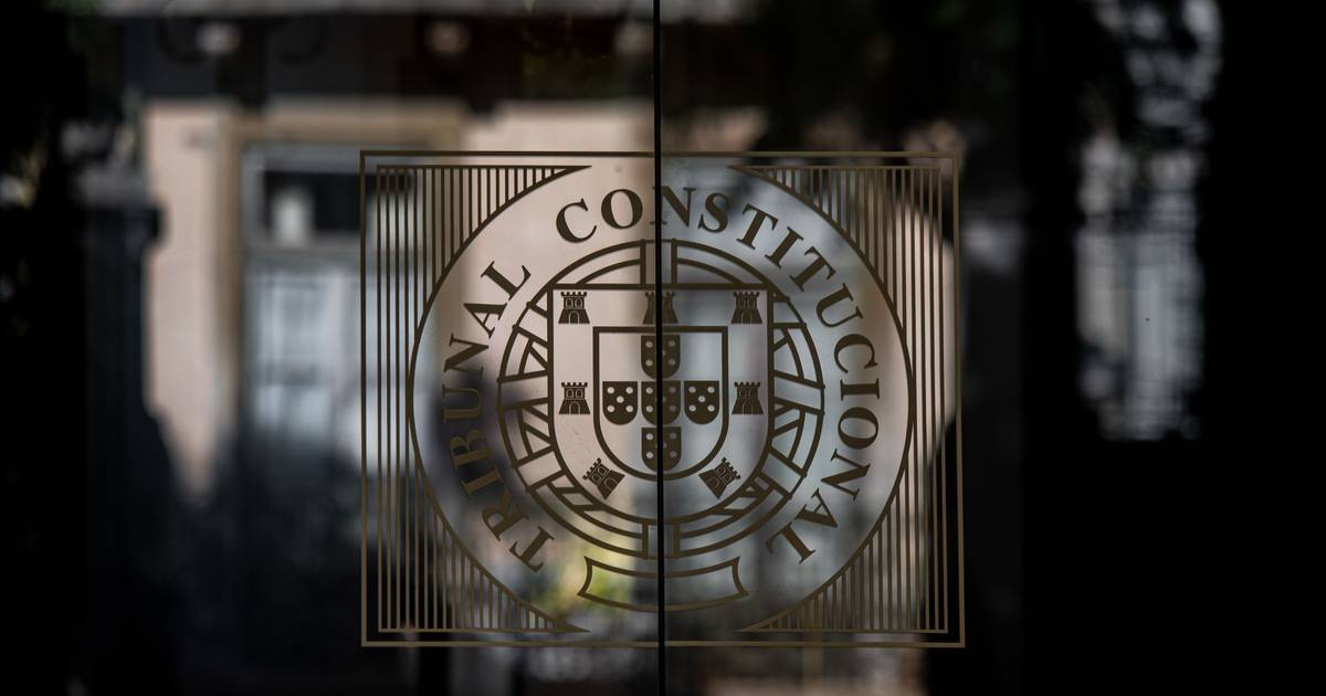Tribunal Constitucional invalida reeleição de Inês de Sousa Real como líder do PAN