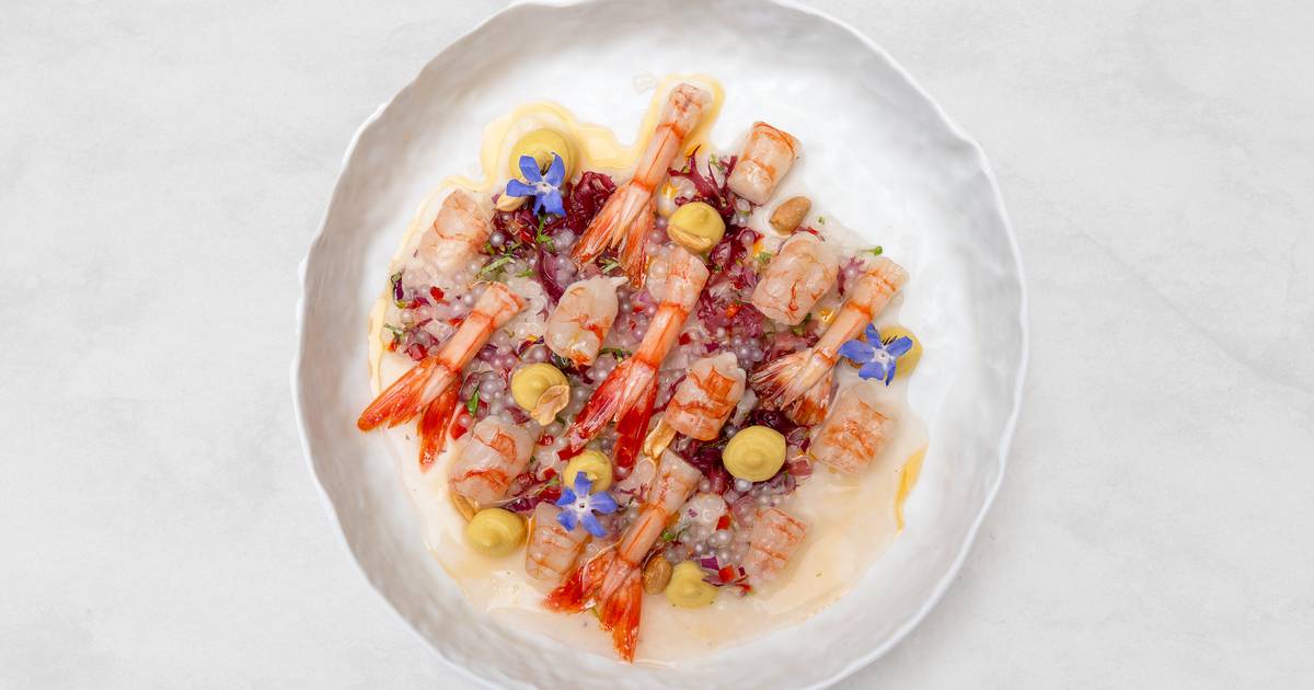 A Cevicheria 2.0: Chef Kiko Martins alarga oferta com pratos quentes e sugestões vegetarianas