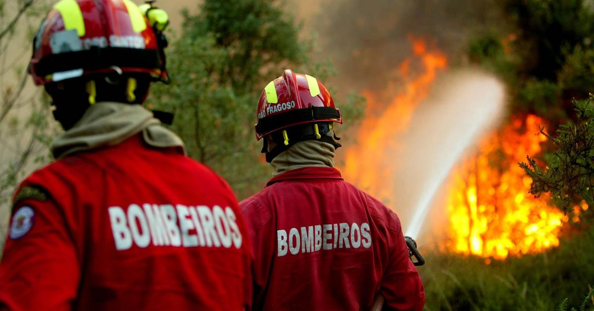 Incêndio em Valpaços mobiliza mais de 600 bombeiros e obriga ao confinamento de aldeias