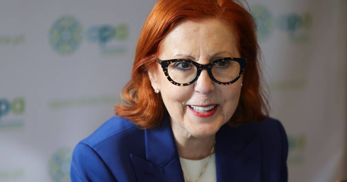 La Ministra dell'Ambiente dice che la Commissione Europea concorda con il ritorno dello Stato alla REN