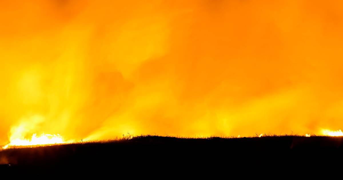 Incêndio em orfanato na Argélia mata 11 crianças