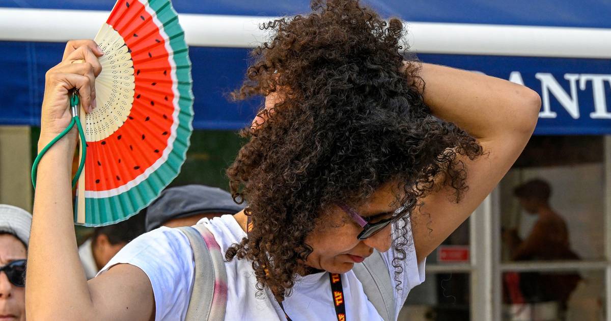 Calor extremo leva DGS a aumentar nível de risco em todo o continente
