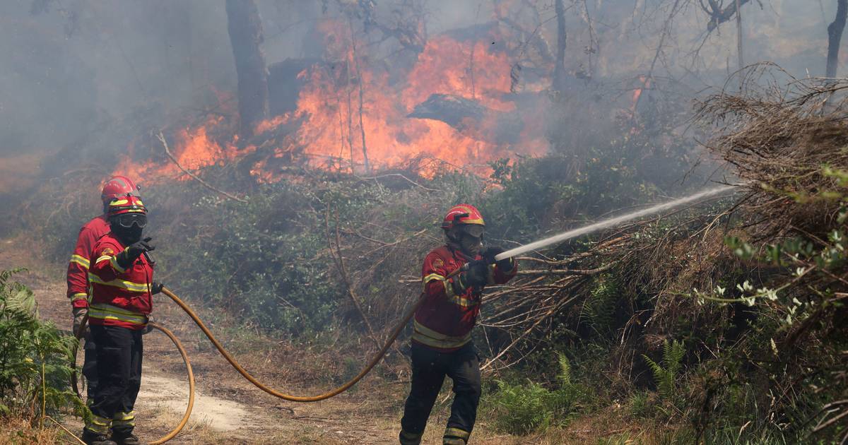 Mais de 1100 bombeiros tentam travar avanço do fogo para a Serra do Caramulo