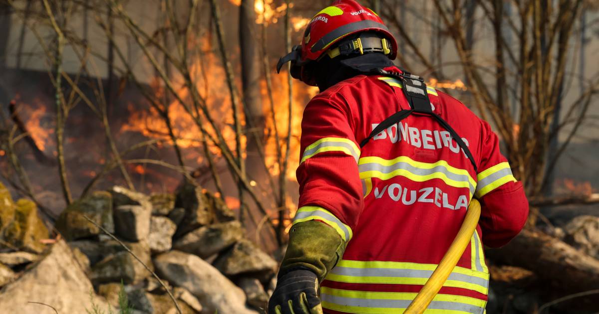No Caramulo, onde o fogo sobre e desce a serra: para evitar os "grandes fogos, o país tem de queimar mais"