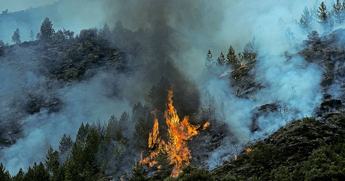 Incêndio no sul de França obriga a retirar 10 mil pessoas nos Pirenéus -Orientais