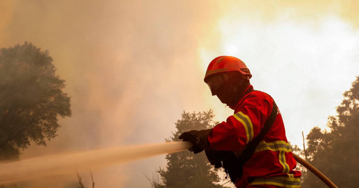 IPMA coloca interior Norte e Centro do país em risco máximo de incêndio esta sexta-feira