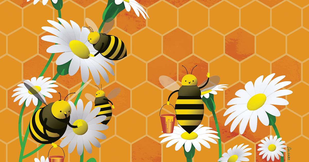Fungagá da bicharada: como evoluem as populações de insetos e aves na Europa