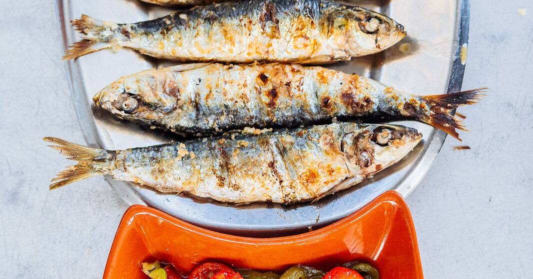 Festival na praia do Pedrógão vai ter nove toneladas de sardinha a passar pelas brasas