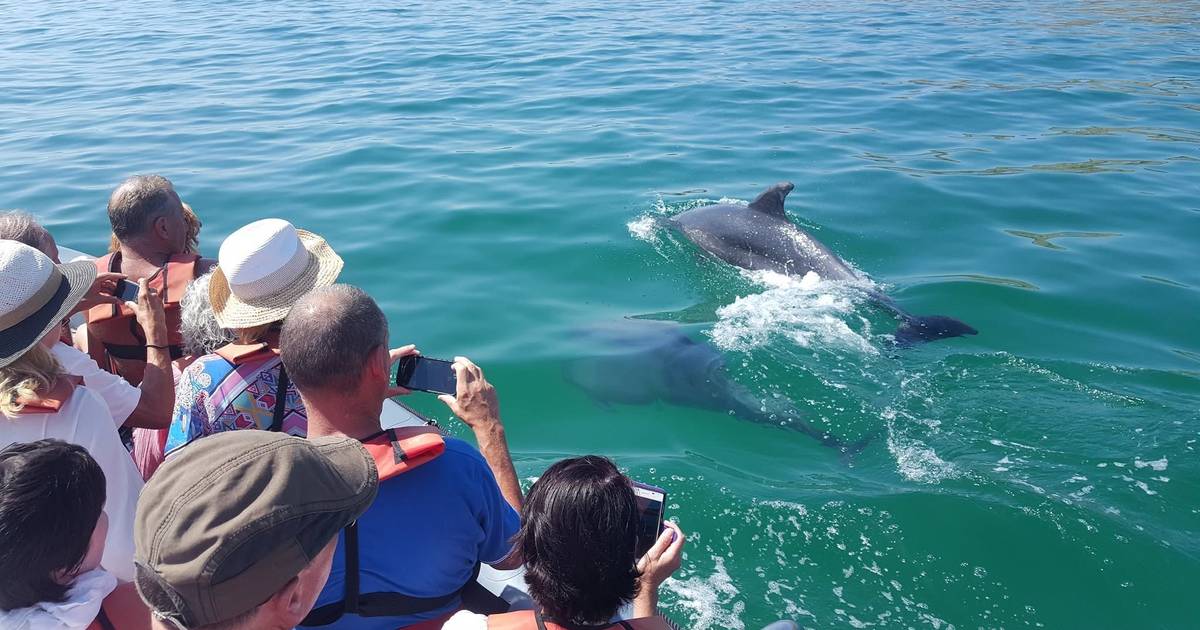 Um roteiro por falésias, grutas e areais escondidos no Algarve, entre as praias da Salema e da Luz