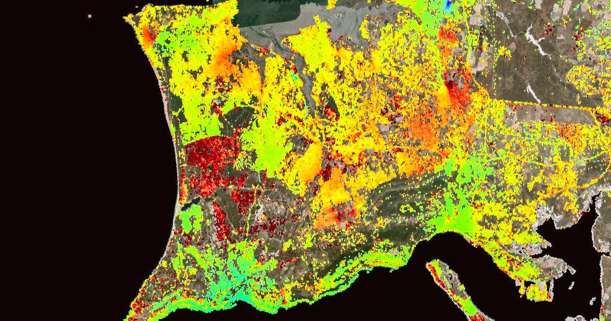 Almada à procura de água: solos abateram, aquífero está em crise e rede tem perdas enormes