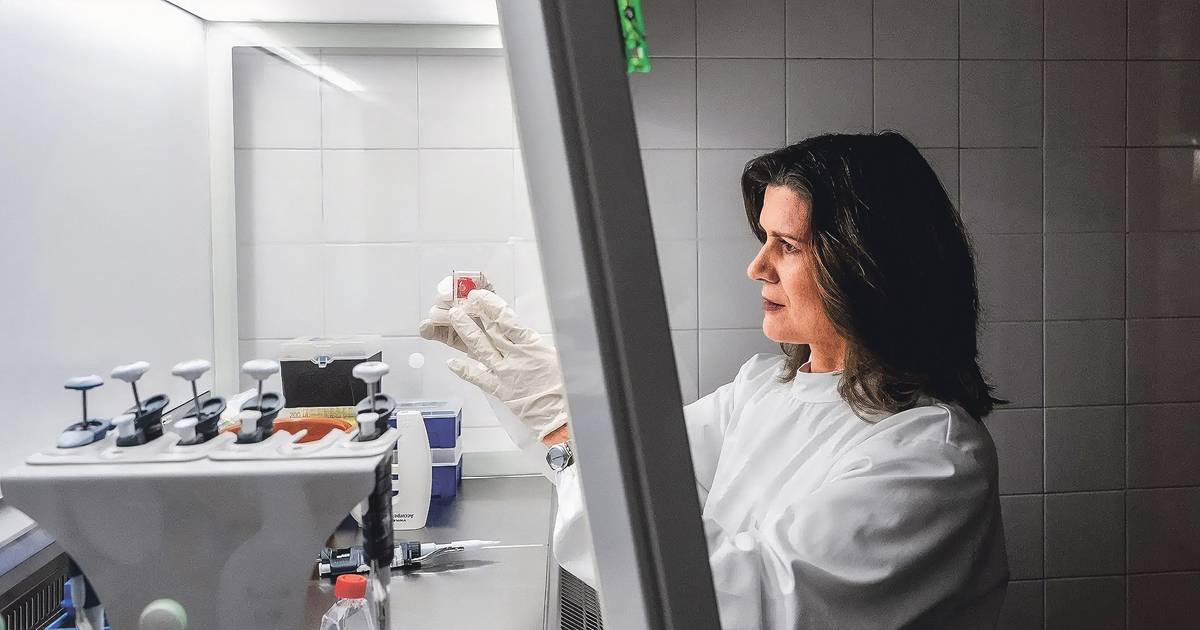 Ciência portuguesa na frente da deteção do cancro
