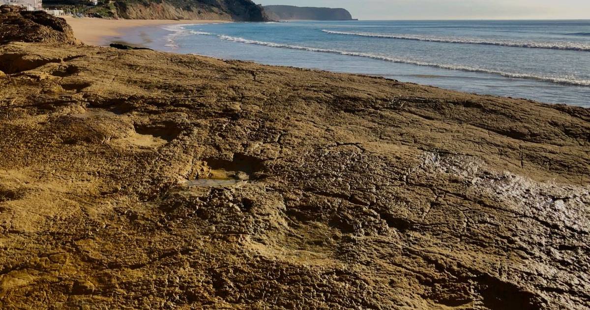 Em terra e no mar, dinossauros, romanos e piratas ajudam a descobrir o barlavento algarvio
