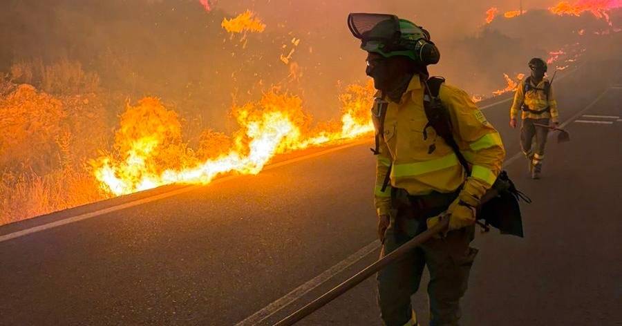 Incêndio florestal na Andaluzia causa 12 vítimas mortais e obriga à retirada de mil pessoas