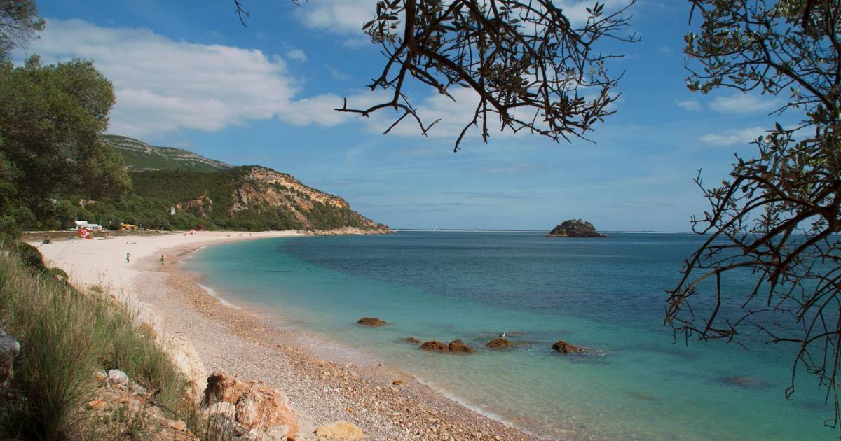 "As praias são públicas": Câmara de Setúbal lança campanha contra tentativa de privatização na Arrábida