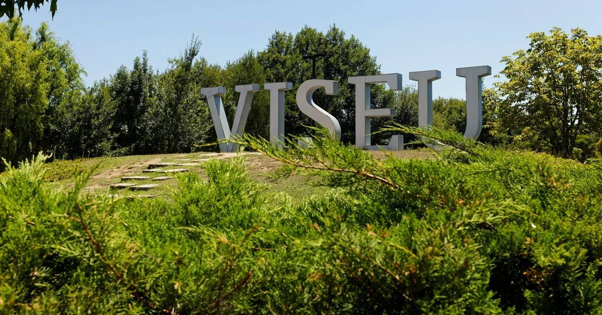 Música, gastronomia e vinhos: Viseu estreia Rock & Dão em setembro