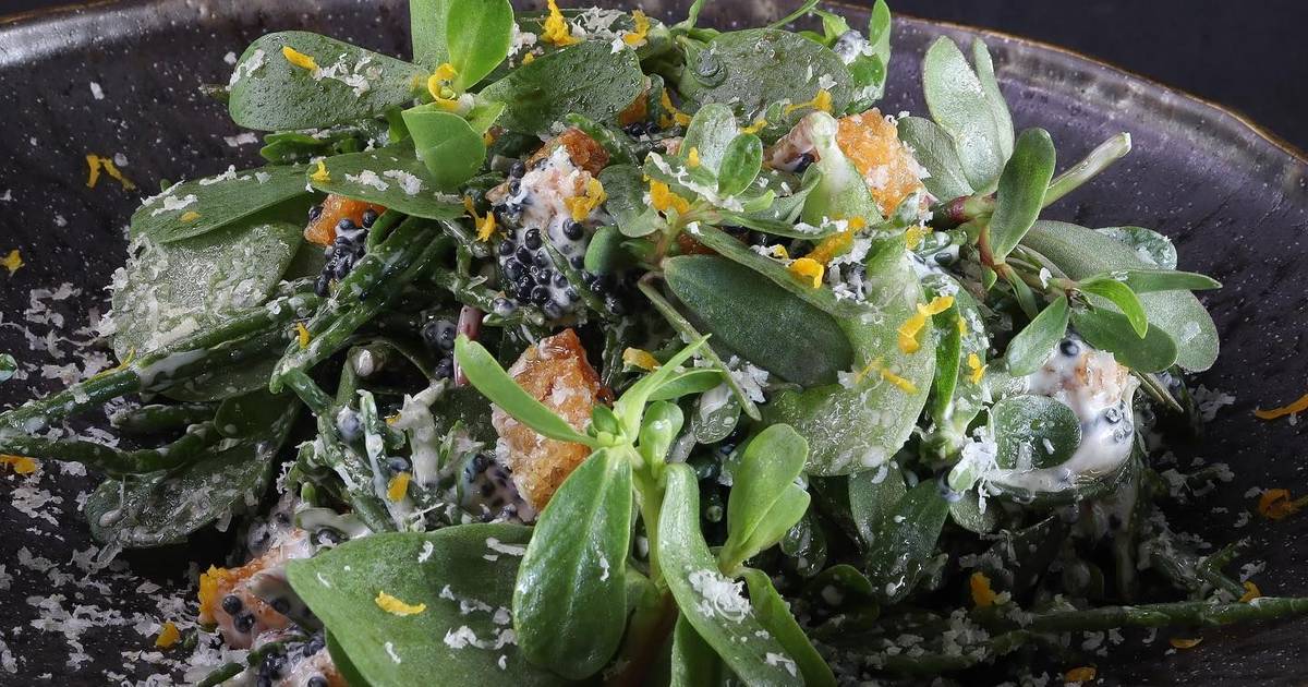 Com entrada livre, festival gastronómico em Leça da Palmeira recria sabores do mar em versão vegan