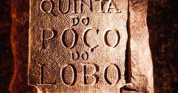 Vinhos: Caves São João, uma referência bairradina