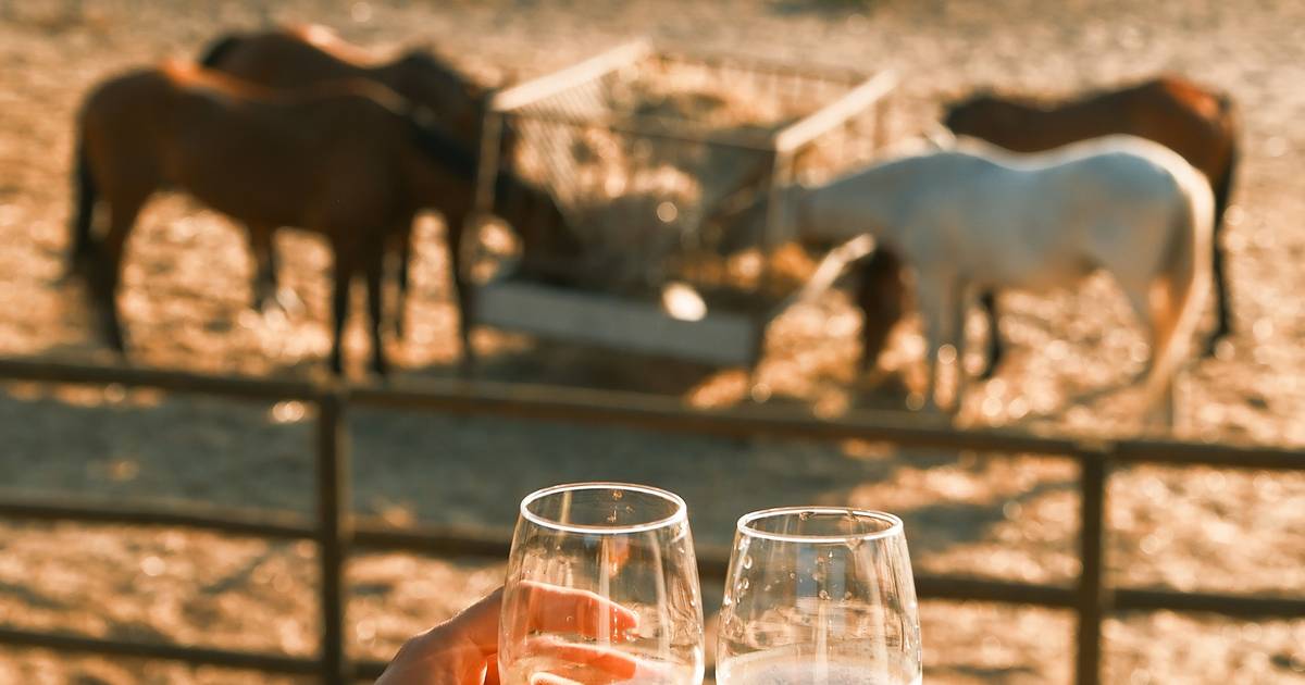 Do pequeno-almoço ao pôr do sol, há um novo spot para conhecer na Comporta