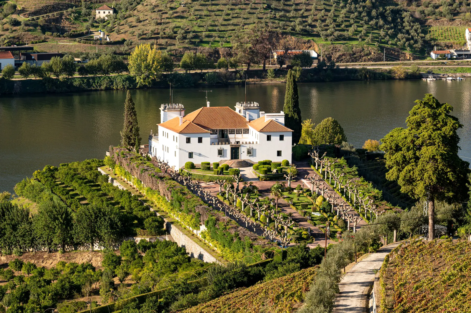 Numa das mais antigas quintas do Douro, passeia-se na vinha, prova-se o vinho e contempla-se a paisagem