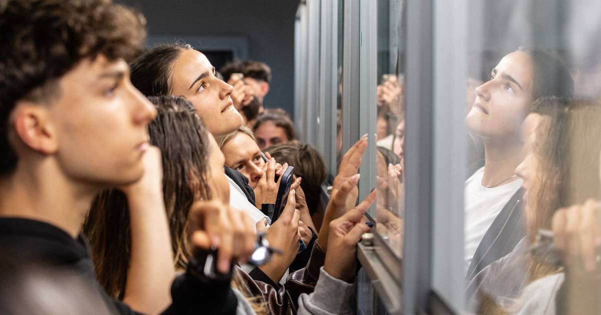 "Andam a brincar connosco": Após notas suspensas, alunos estranham classificações e não hesitam em pedir reapreciação de provas